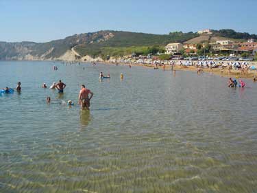 arillas