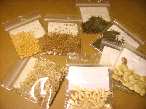 seeds1