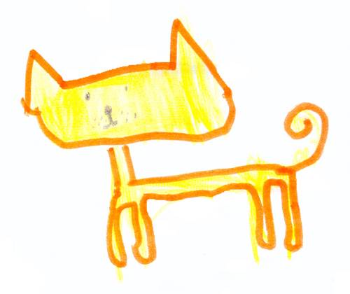 cat