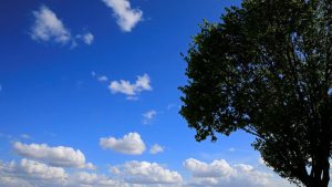 CorfuNews image