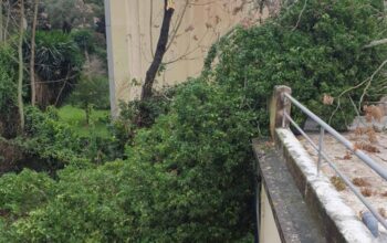 133300791_842898159841907_1880399576925116394_n