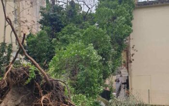 133810406_897492740991182_1524127702364385874_n