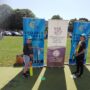 cricket_festival (7)