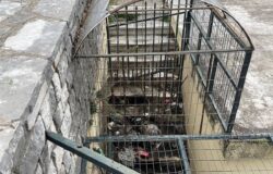 SANROCCO 5 11-3-2023.jpg MONIMH ΚΑΤΑΣΤΑΣΗ ΒΡΩΜΙΑΣ Κ ΔΙΑΣΥΡΜΟΥ ΤΩΝ ΜΟΝΙΜΑ ΚΛΕΙΤΩΝ ΔΗΜΟΣΙΩΝ ΤΟΥΑΛΕΤΤΩΝ