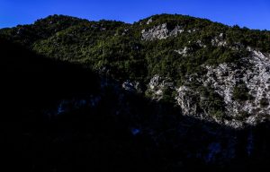 CorfuNews image