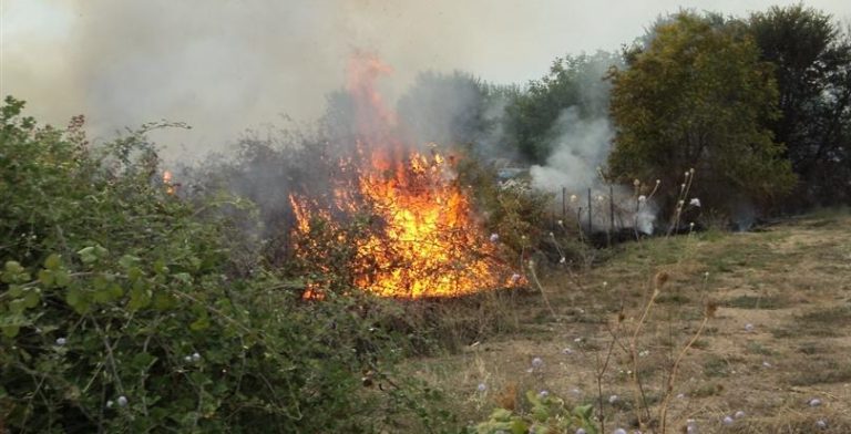 Κέρκυρα: πρόστιμο 1875 ευρώ για άναμμα φωτιάς σε οικόπεδο